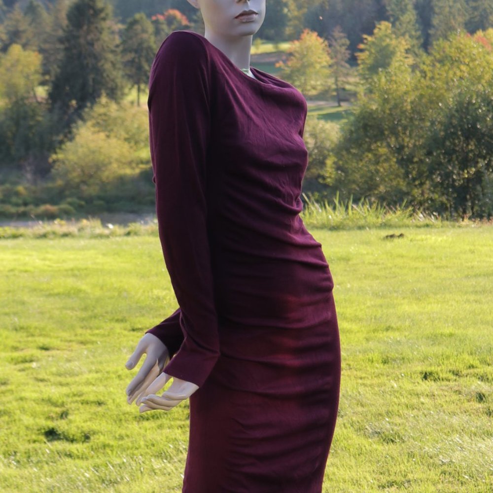 Express Wine Long-Sleeve Mini Dress